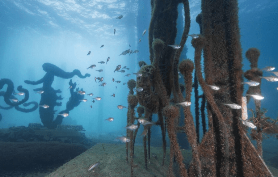 busselton jetty and underwater sculptures