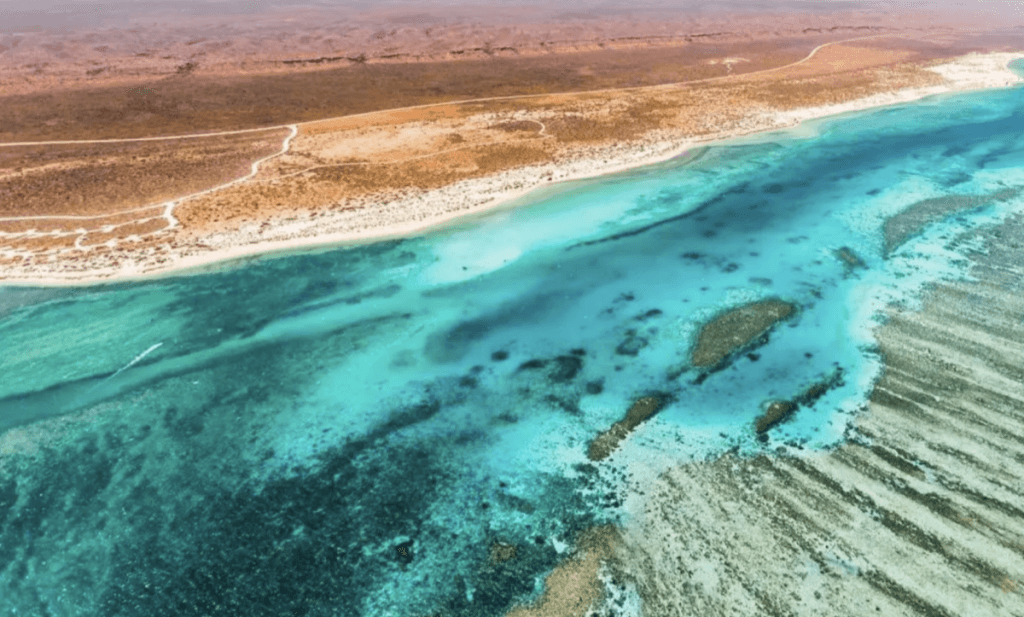 Ningaloo Marine Park